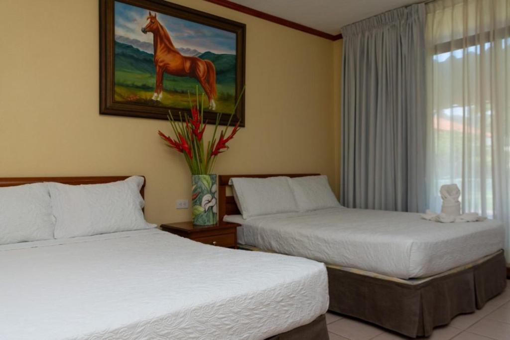 Amapola Resort - Appartement