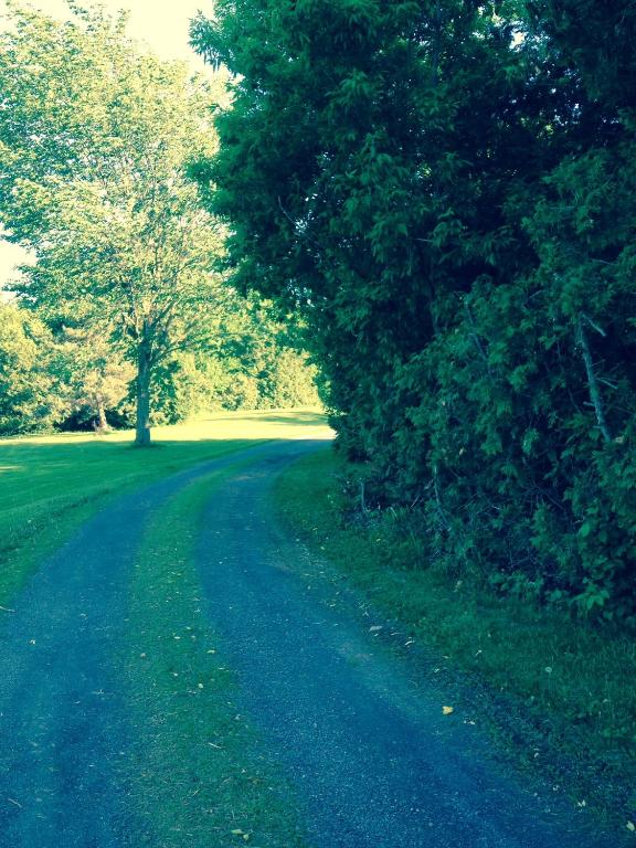 a road with trees on the side of a field at Cedar Drive Inn in Crysler