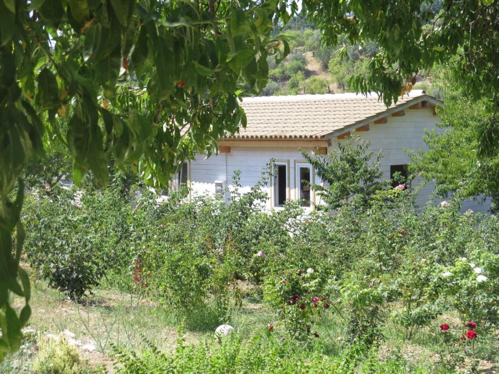 Zahrada ubytování Camping Fiori di Noto