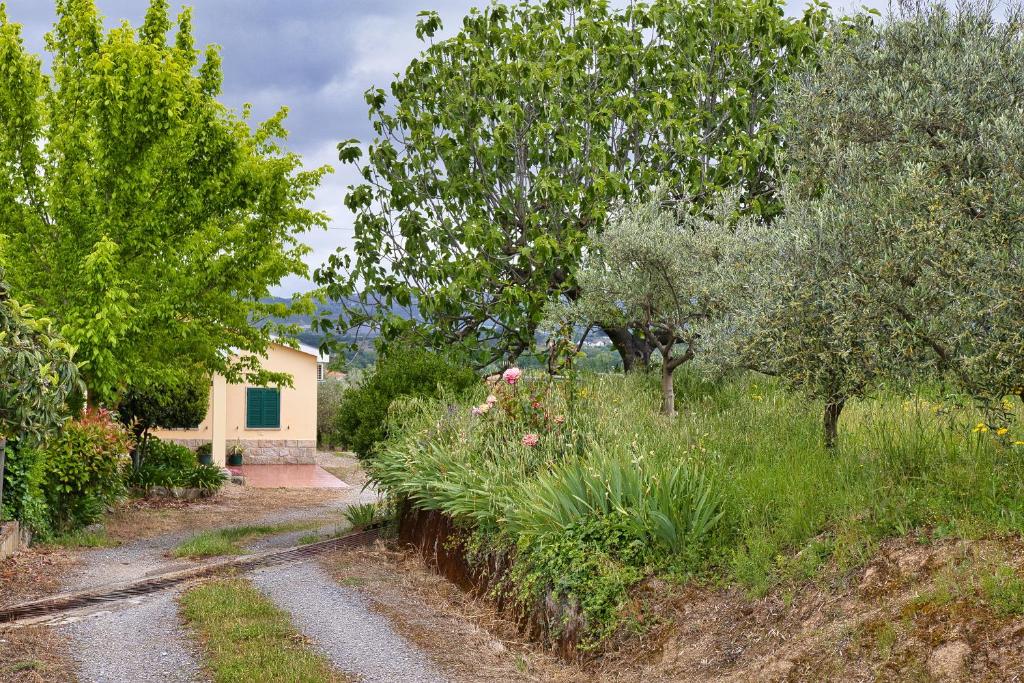 Zahrada ubytování Olive by Nature Yards