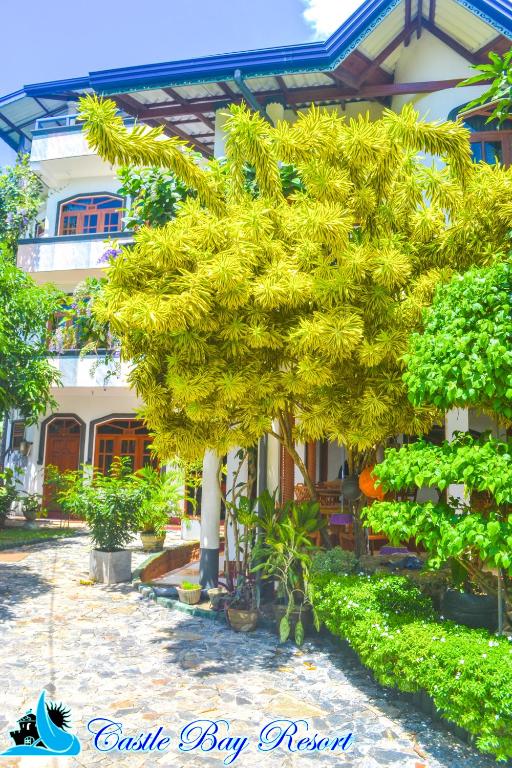 a large yellow tree in front of a building at Castle Bay Resort in Weligama
