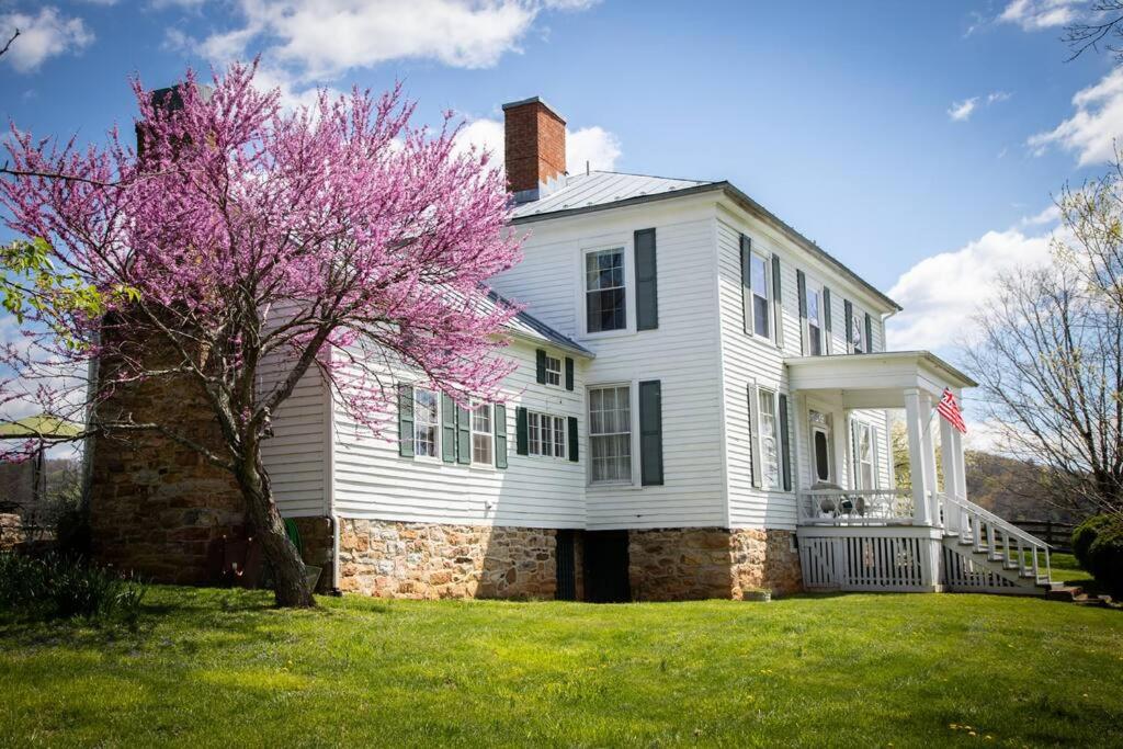 ein weißes Haus mit einem blühenden Baum im Hof in der Unterkunft Historic 1850s Home at the Base of Jump Mountain Near Lexington in Goshen