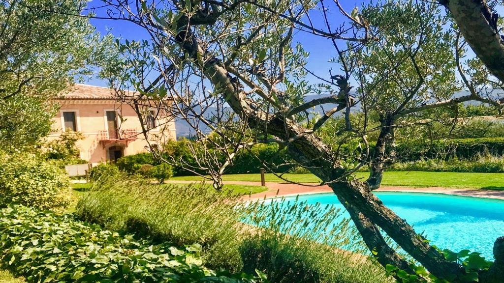 uma piscina no quintal de uma casa em Pool Villa Yoga studio Spoleto Tranquilla - A sanctuary of dreams and peace em Morro