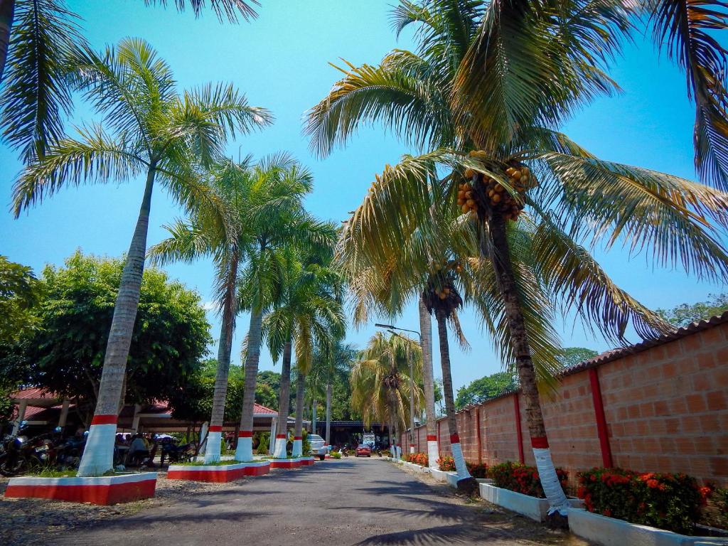 uma rua com palmeiras ao lado de uma estrada em Hotel campestre las palmas em Villavicencio