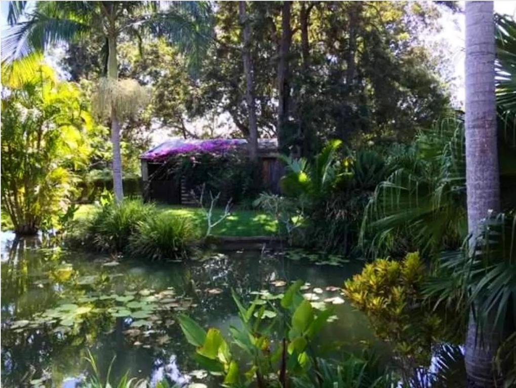 BoylandにあるCrystal Cottage Retreat- Escape to the Hinterland!の池・木・植物の庭園