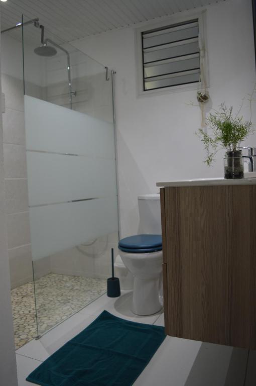 a bathroom with a toilet with a blue seat at Maison La Caféière in Saint-Claude