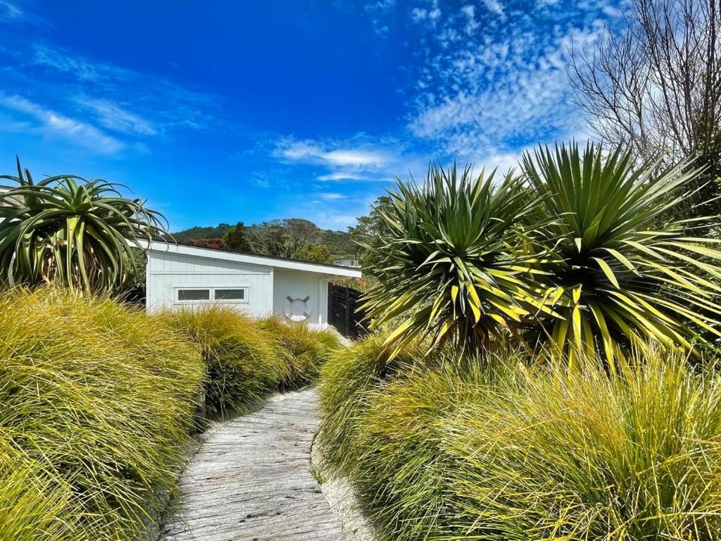 une maison avec des palmiers et un chemin de terre dans l'établissement Sailor's Cottage - Stay Waiheke, à Blackpool