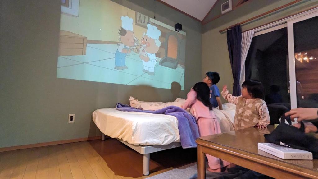 TV a/nebo společenská místnost v ubytování Sasamori House