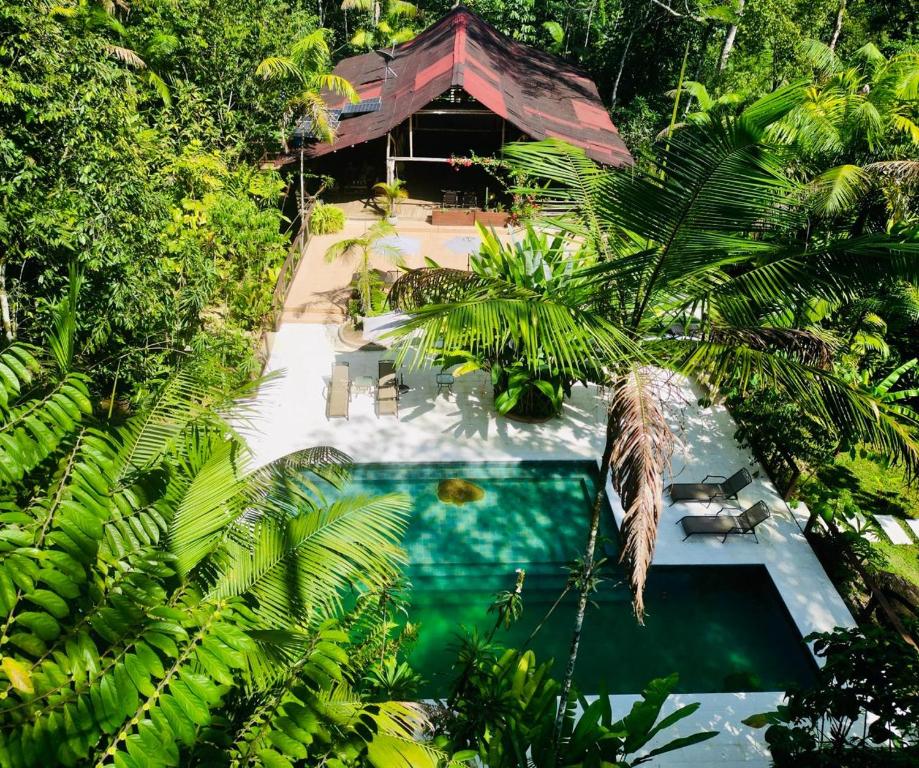 an overhead view of a swimming pool in a forest at Casa Kiwi Jungle Lodge in San Francisco