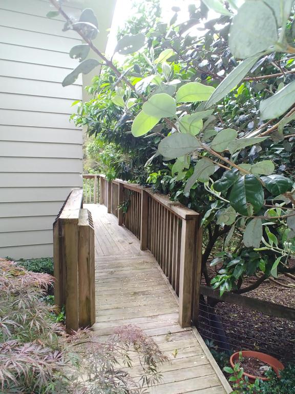 Comfortable 2-bedroom unit close to Hamilton, New Zealand - Resim 11