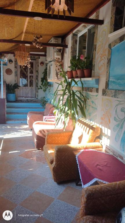 Gallery image of Casa de vacanta ,,Puiu & Nelly,, in Sulina