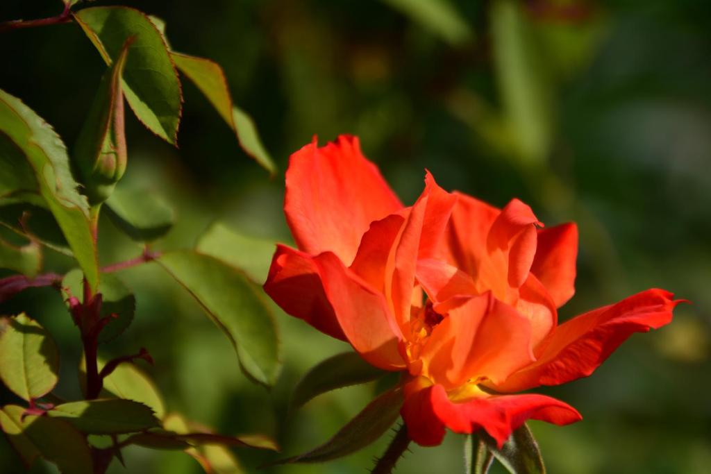Fotografie z fotogalerie ubytování Les Jardins de l'Ermitage v destinaci Les Salles-sur-Verdon