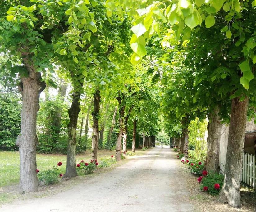 une route bordée d'arbres avec des fleurs rouges et des arbres dans l'établissement La Grange de Saint-Martin / Les écuries du Chateau St-Martin, à Mozac