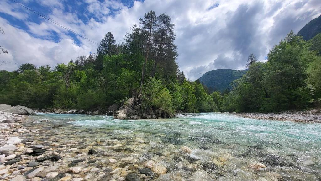 a river with rocks and trees on the side at Apartment Luka at Soča & Koritnica confluence in Bovec