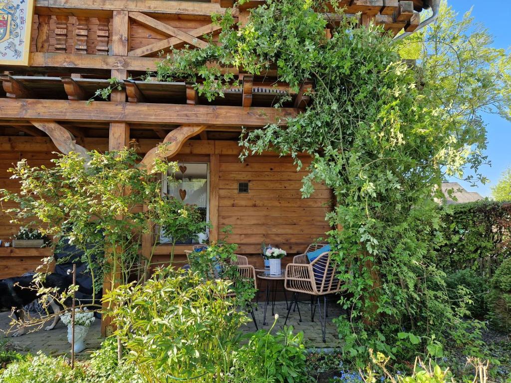 a pergola with a table and chairs in a garden at Ferienhaus Eifelglühen in Monschau