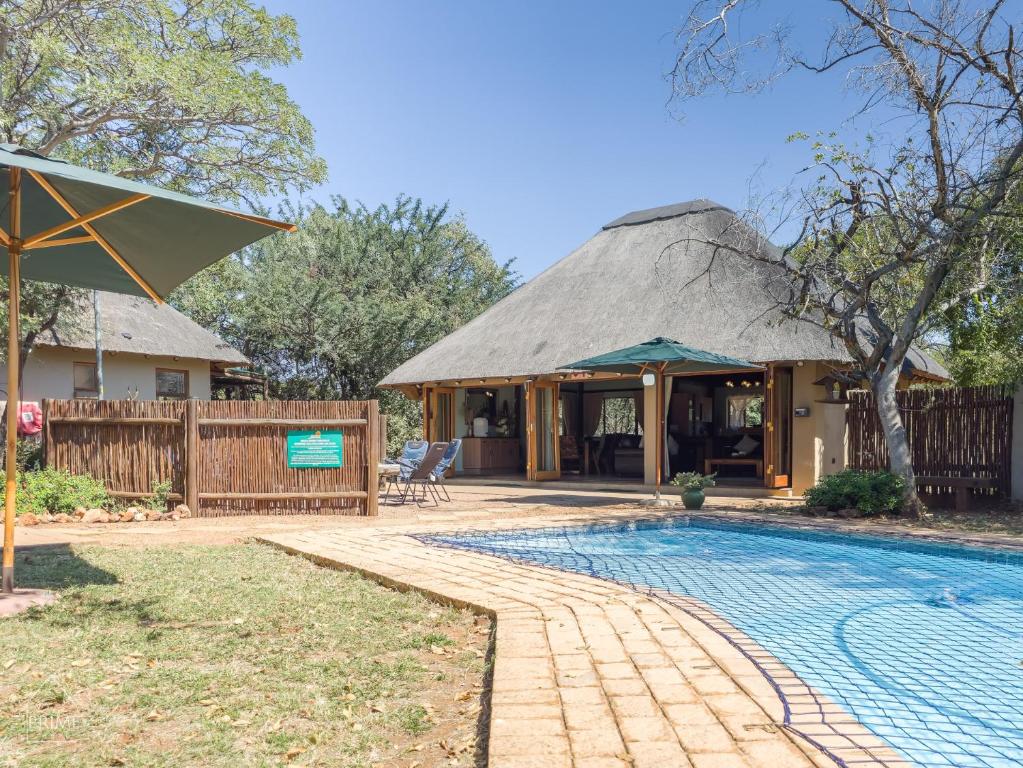 a house with a thatched roof and a swimming pool at Hornbill House @ Zebula in Mabula