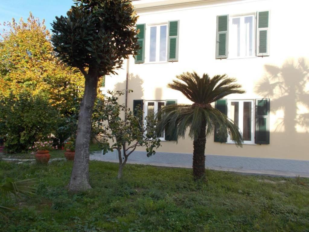 Zahrada ubytování B&B ROSSANA