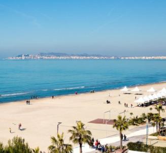 - une plage avec des palmiers et des personnes y séjournant dans l'établissement Serenade Beach, à Durrës