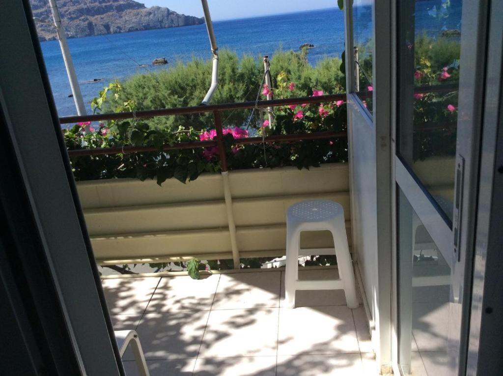 Táj az apartman közelében