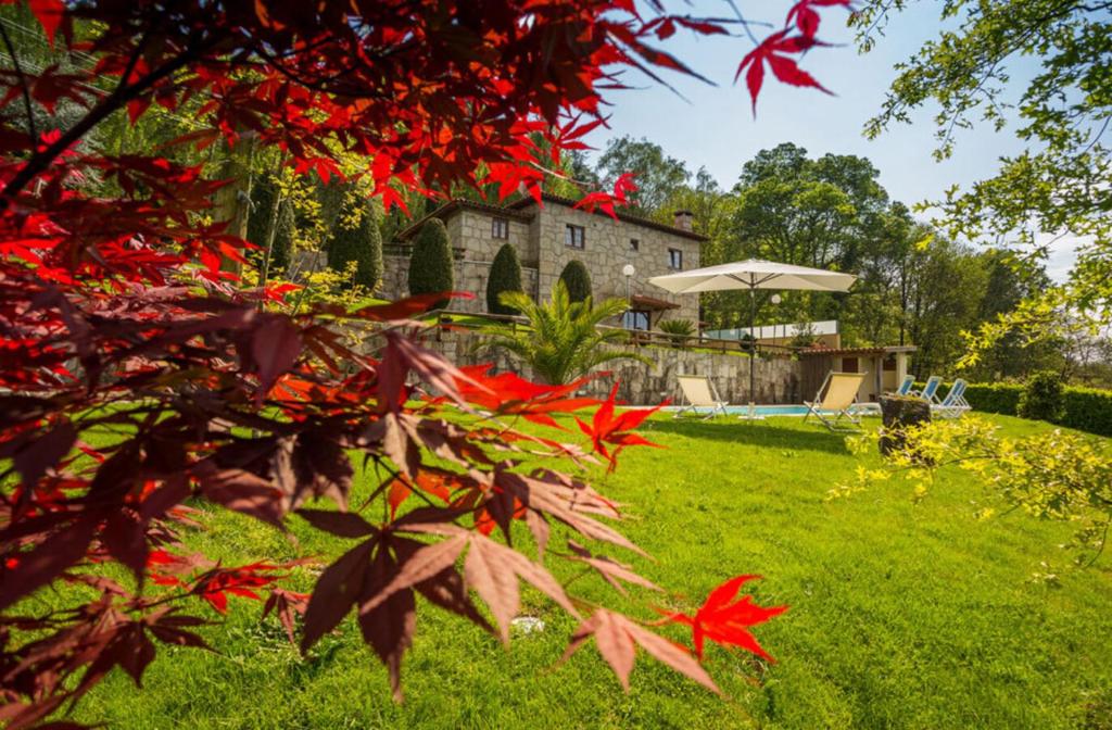 ein Hof mit roten Blättern und einem Haus im Hintergrund in der Unterkunft Casa de Padreiro by Gerês Casas in Caniçada