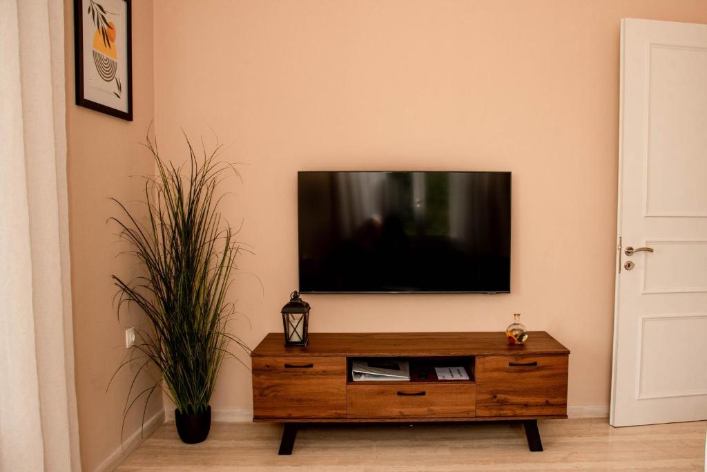 TV a/nebo společenská místnost v ubytování Amalia Complex