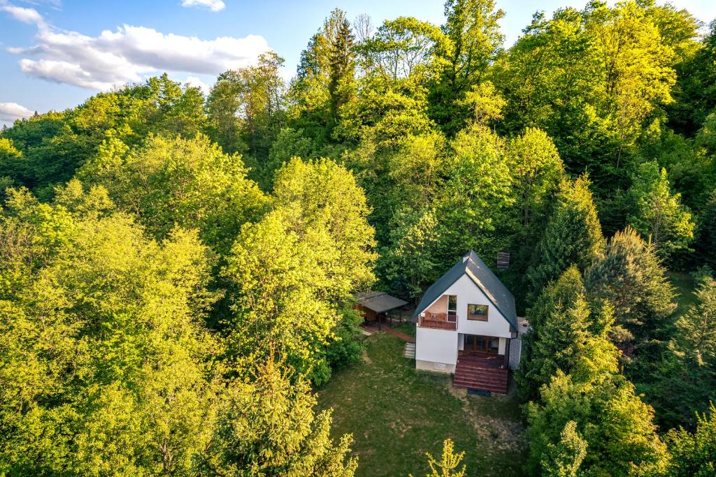 eine Luftansicht eines kleinen weißen Hauses im Wald in der Unterkunft Blisko i nad Soline i w góry! in Polana