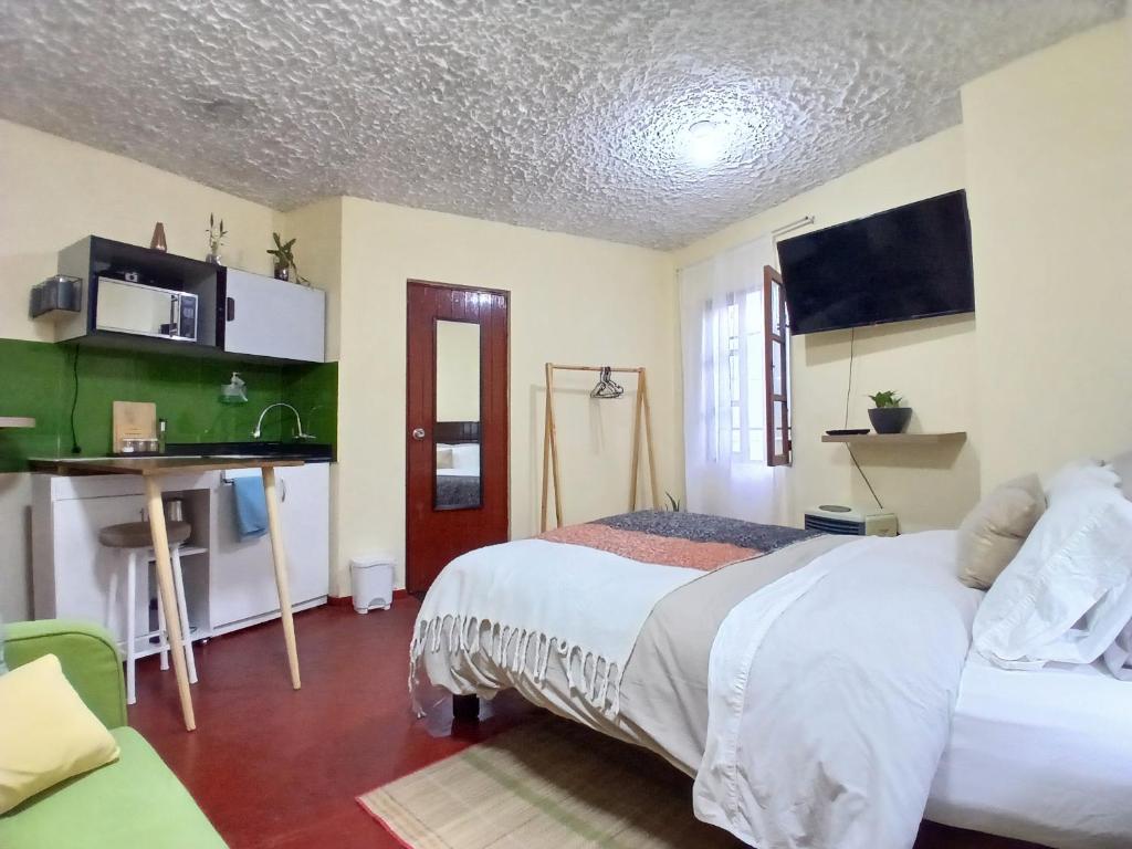 Centric, private, petfriendly apartments in Miraflores and home in Lince - Family Studio