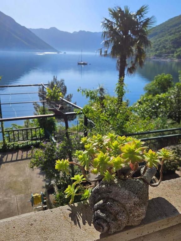 a potted plant sitting on a ledge overlooking a lake at Apartment Capt Seferovic 2 in Donji Morinj
