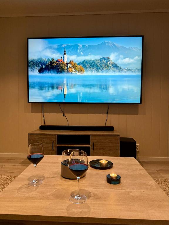 TV a/nebo společenská místnost v ubytování StarView Trolltunga Apartment