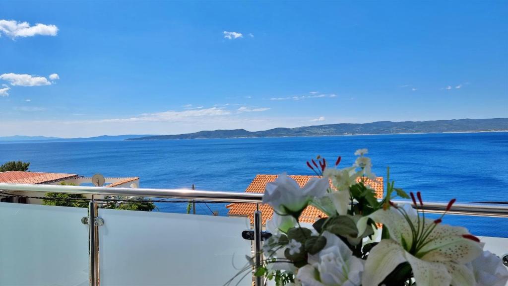 Příroda nedaleko apartmánu