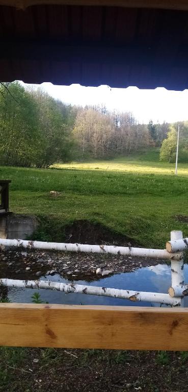 Příroda nedaleko kempu