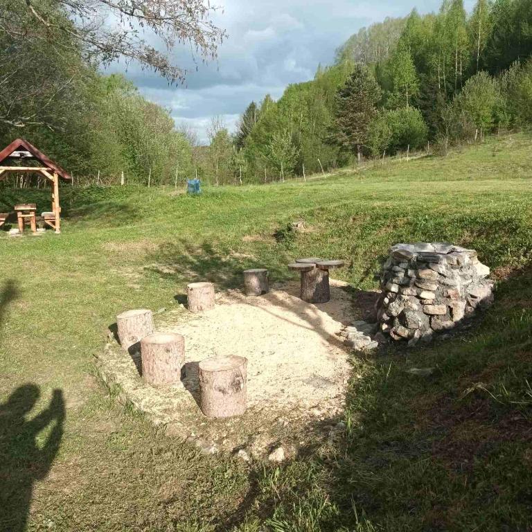 Příroda nedaleko kempu