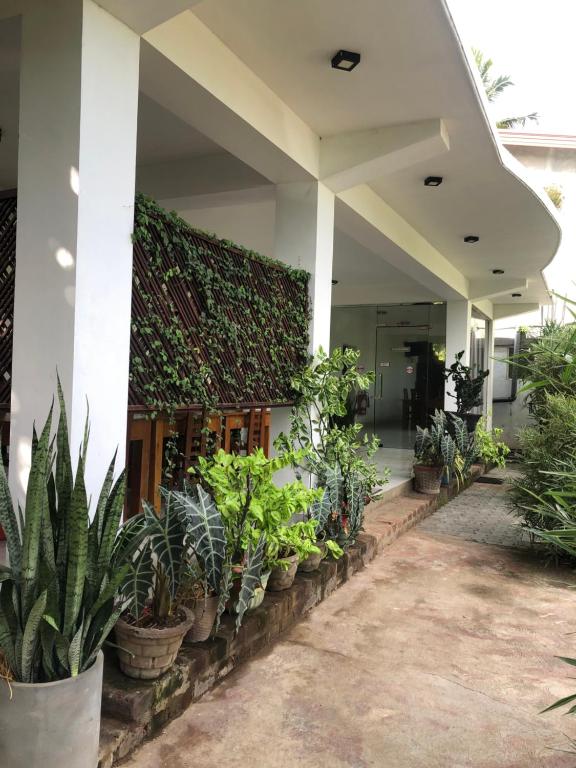 eine Reihe von Topfpflanzen an der Seite eines Gebäudes in der Unterkunft Senanayaka Holiday Inn in Polonnaruwa