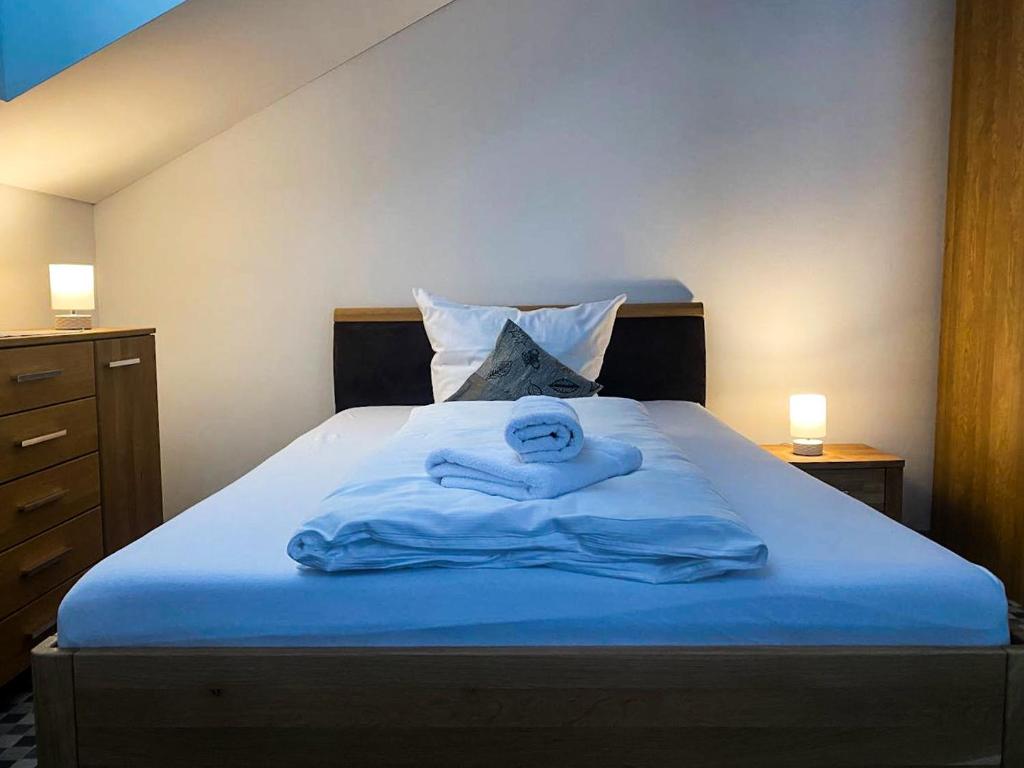 un letto con una coperta blu e una persona sopra di Ferienwohnung Haldennest a Bludenz