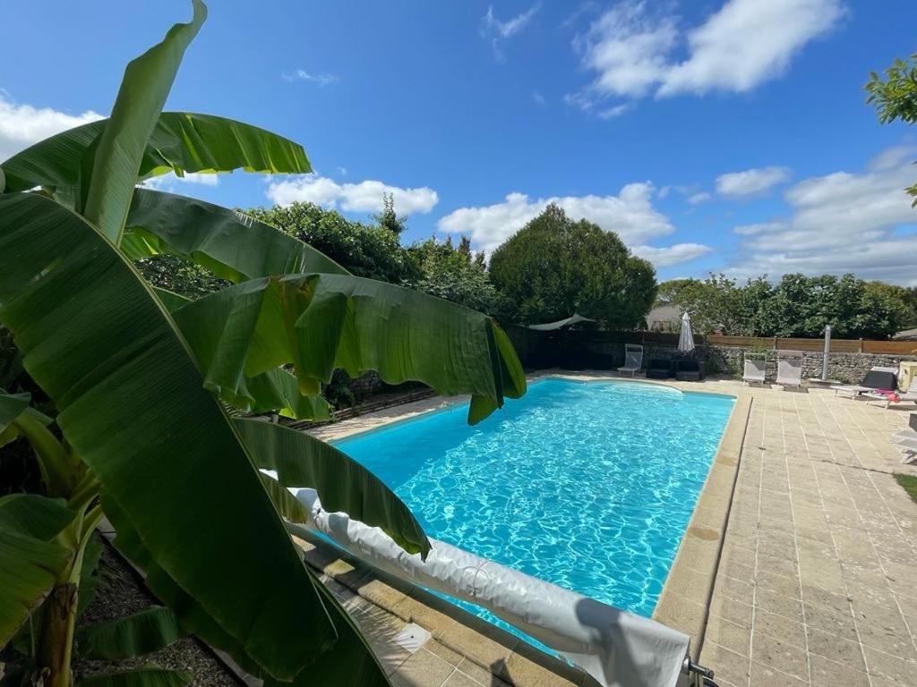 une piscine avec un palmier au premier plan dans l'établissement La Maison des Coteaux, à Chadenac