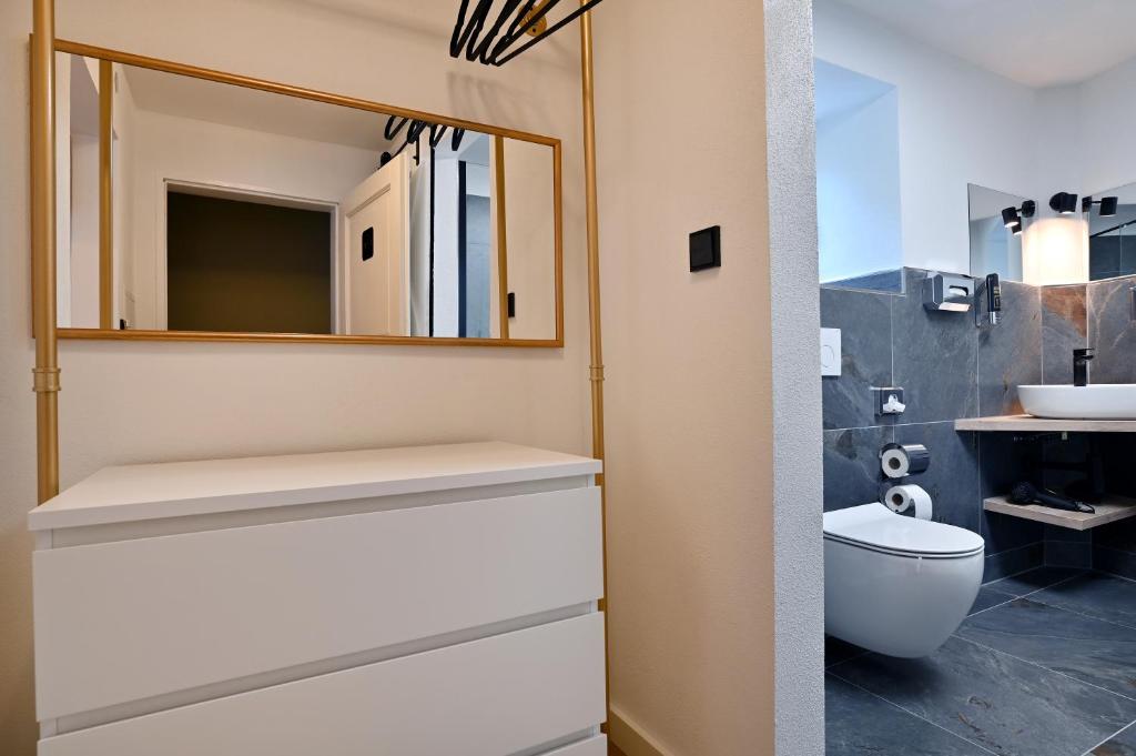 a bathroom with a toilet and a mirror at Hotel Zehnthof in Cochem