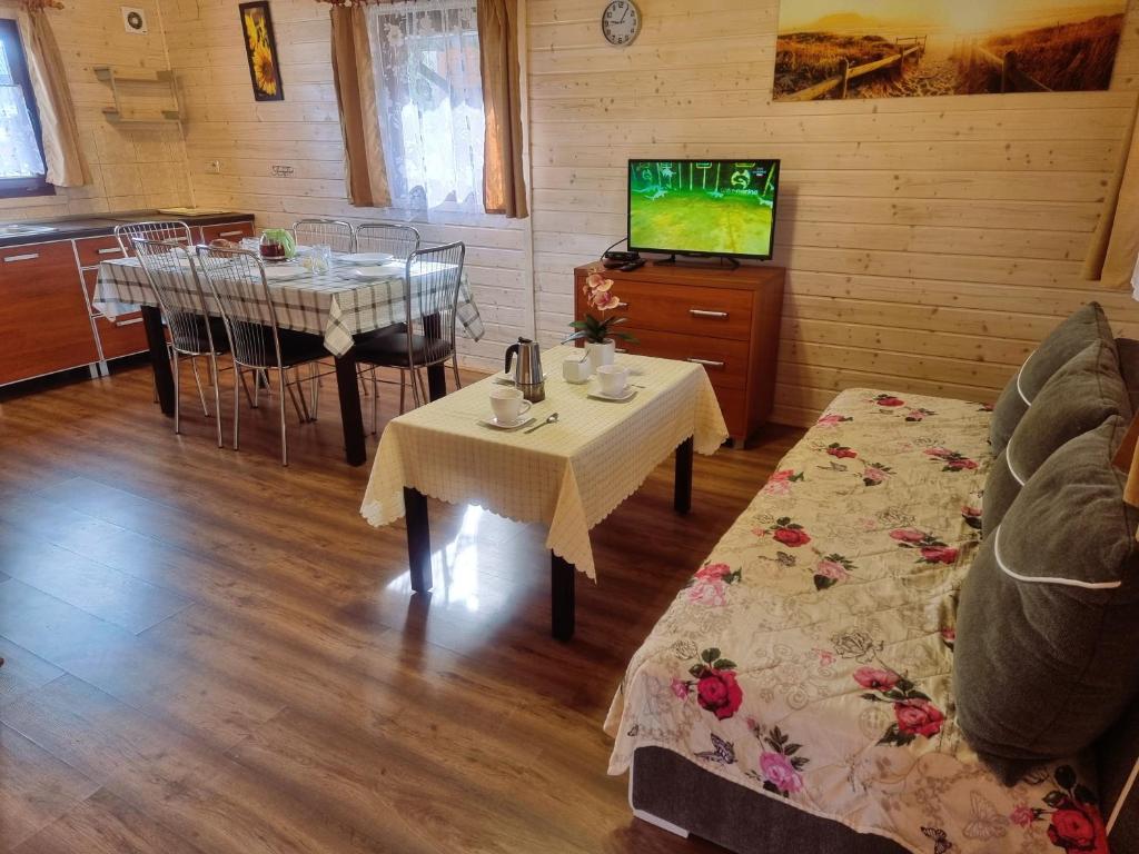 TV a/nebo společenská místnost v ubytování Ośrodek wypoczynkowy nad morzem SEMI