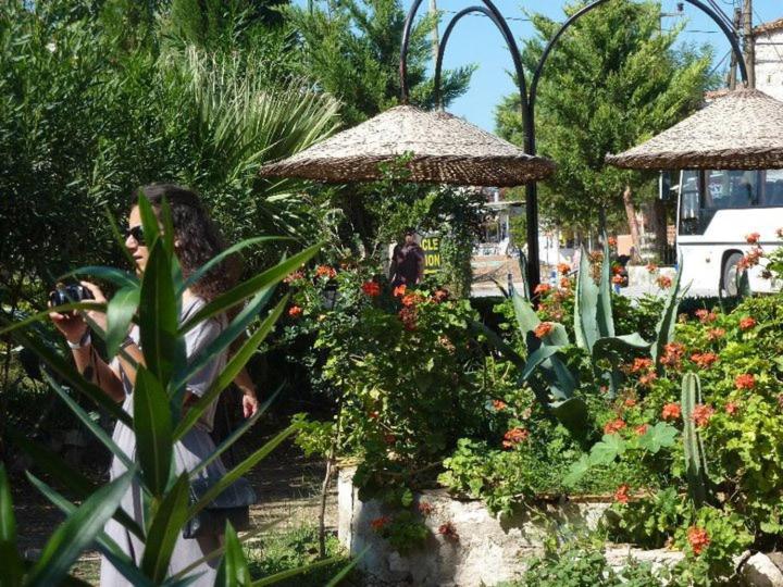 Фотография из галереи Medusa House Butik Hotel в Дидиме