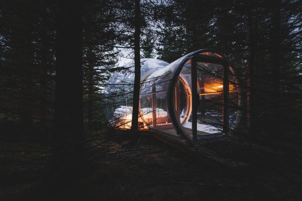 Fotografie z fotogalerie ubytování Buubble Hotel - Hrosshagi v destinaci Selfoss