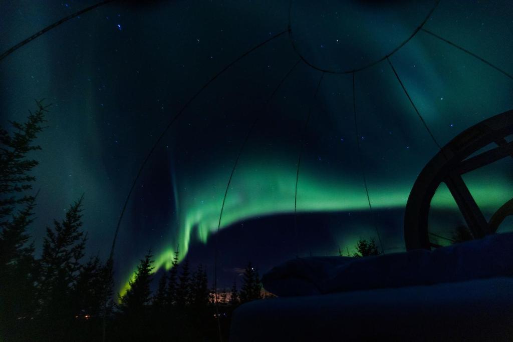 Fotografie z fotogalerie ubytování Buubble Hotel - Hrosshagi v destinaci Selfoss