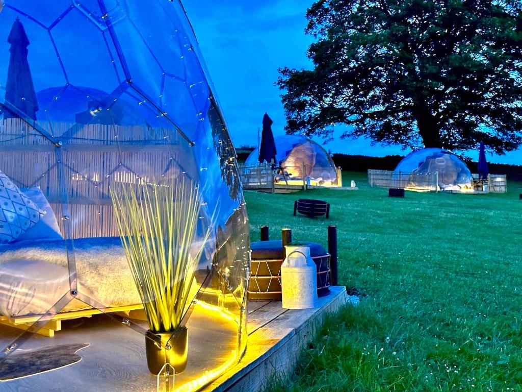 Vườn quanh Deerstone Glamping-Boulsworth Hill Dome Hot tub