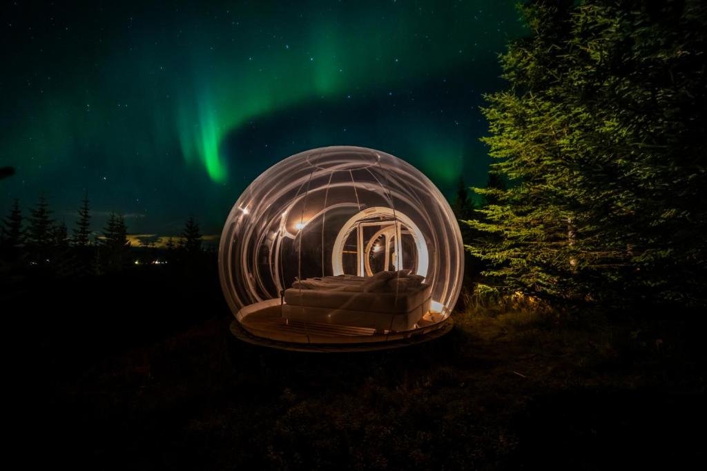 una cupola di vetro con un letto in un campo sotto l'aurora di Buubble Hotel - Ölvisholt a Selfoss
