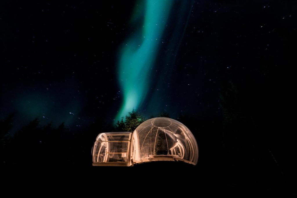 Fotografija u galeriji objekta Buubble Hotel - Ölvisholt u gradu Selfos