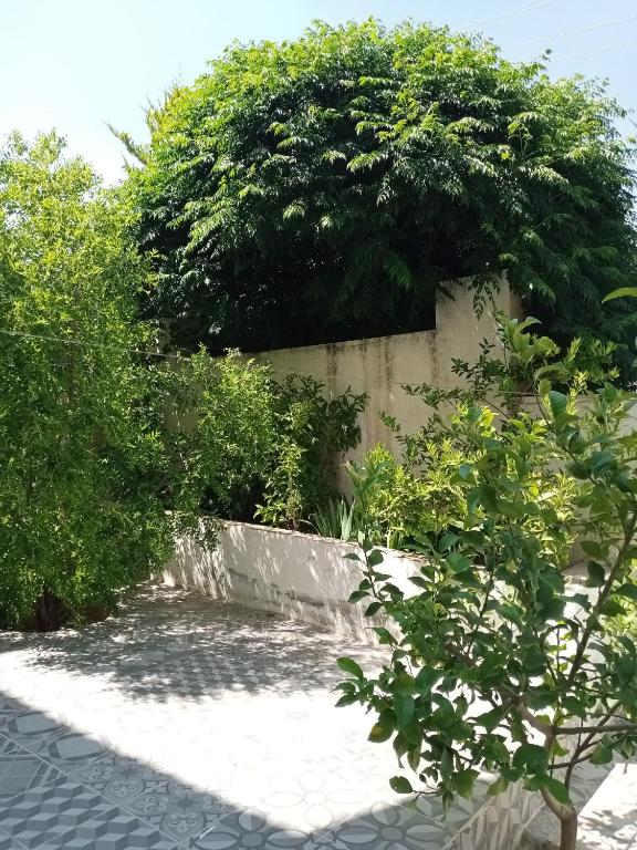 Zahrada ubytování Jerash air apartment