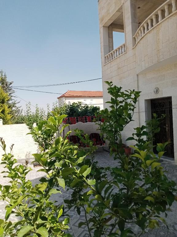 Zahrada ubytování Jerash air apartment