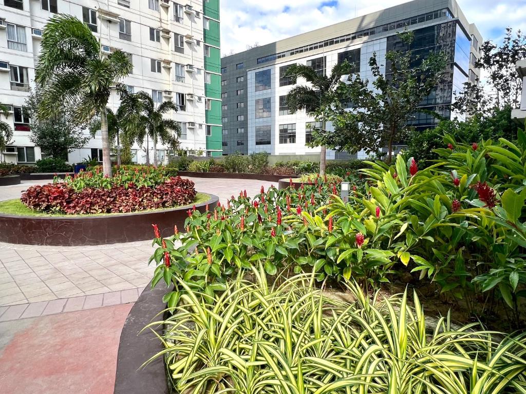 a garden with flowers and plants in front of buildings at IT Park + fast net in Cebu City
