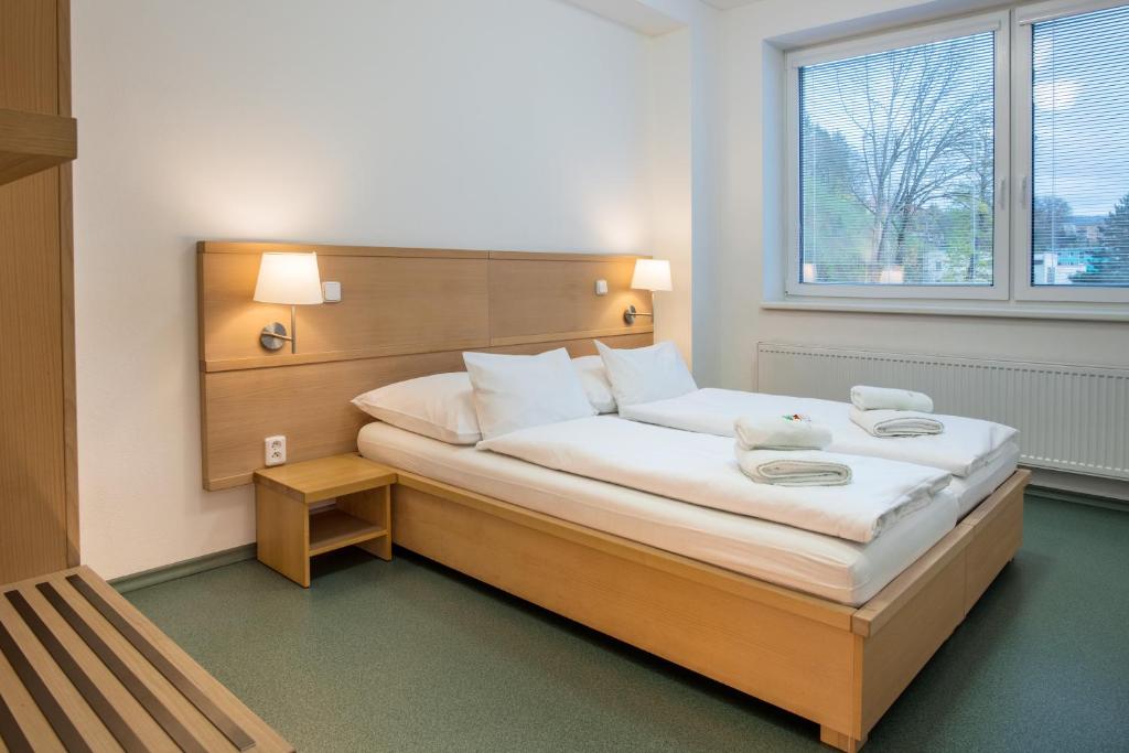 1 dormitorio con 1 cama grande y ventana grande en HOTEL U STAVAŘE - Hotelová DEPANDANCE, en Vsetín