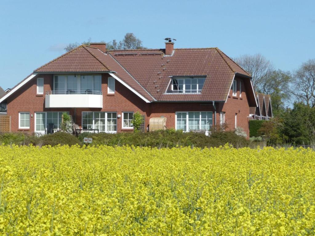 una casa con un campo de flores amarillas delante de ella en NTBM36002-FeWo-Kiekut, en Neue Tiefe Fehmarn