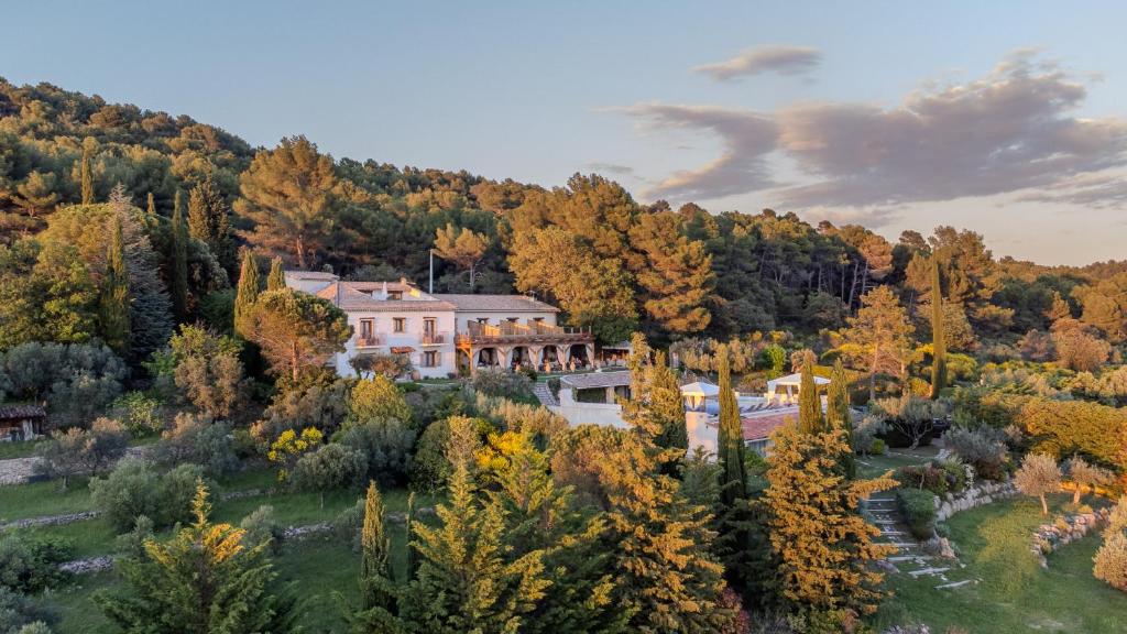 an aerial view of a mansion in a forest at La Petite Auberge in Tourtour