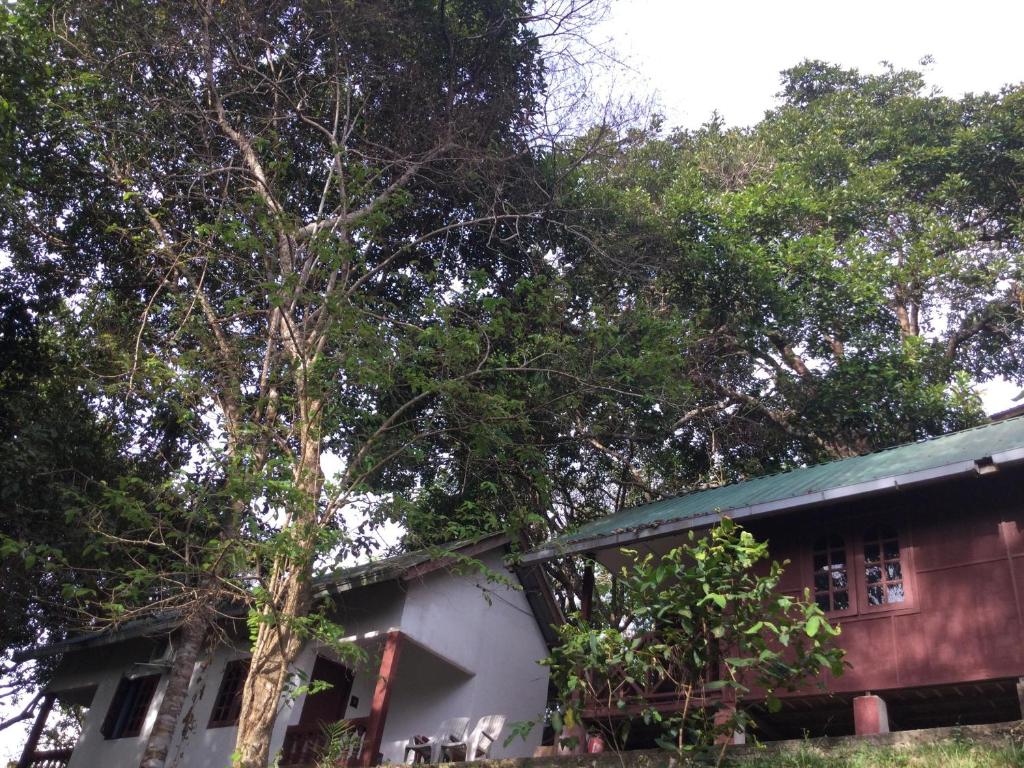 D view hill hotel - Camera Doppia Standard